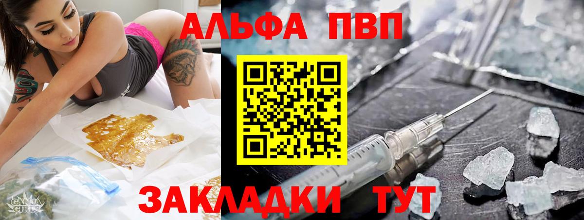 Альфа ПВП СК КРИС Ухта