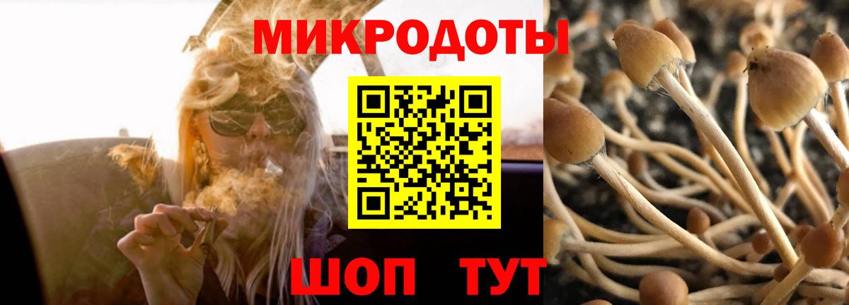 Псилоцибиновые грибы MAGIC MUSHROOMS Ухта